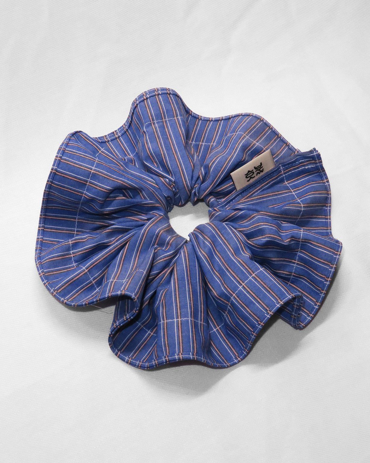 Alocasia Beatrice (Deep Blue Stripe)