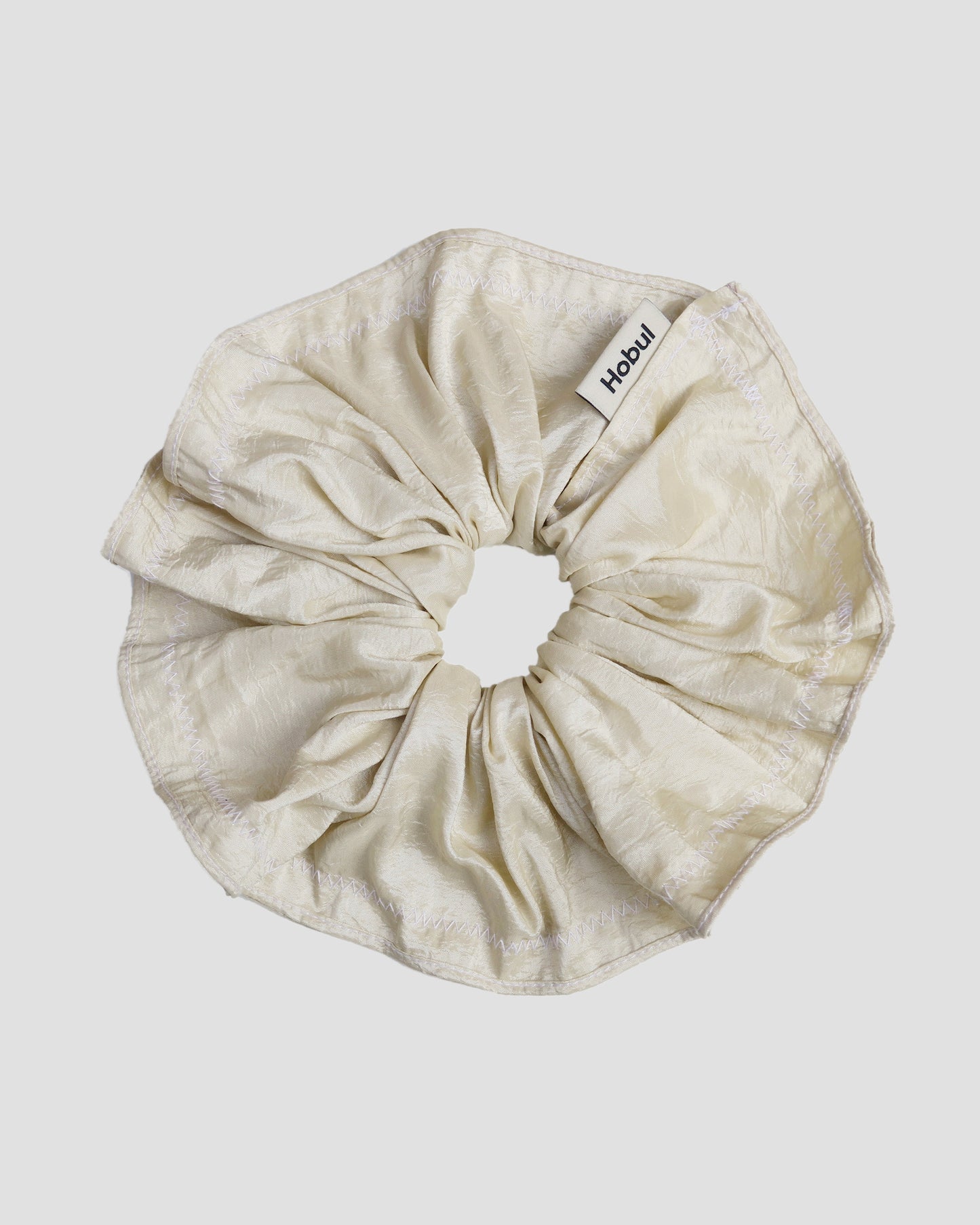 Alocasia Ivory