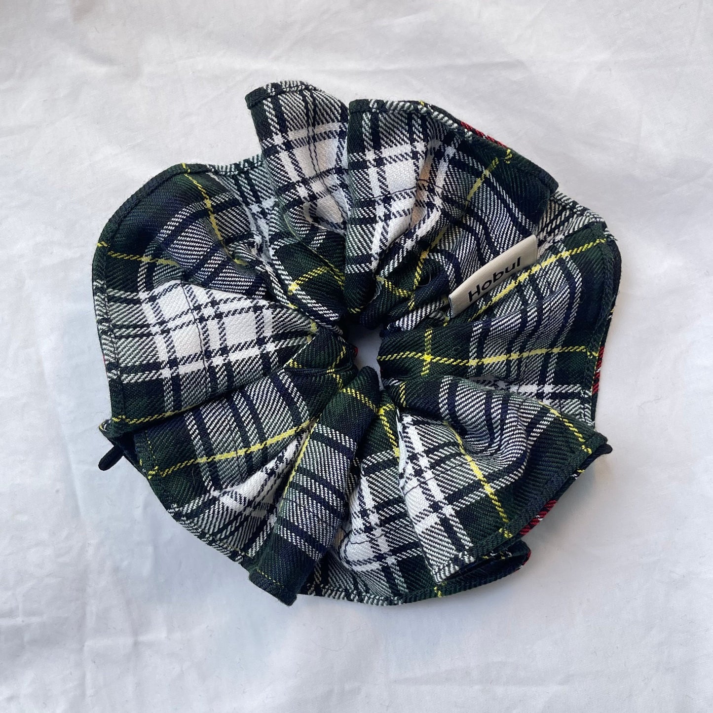 Alocasia Tartan Mix
