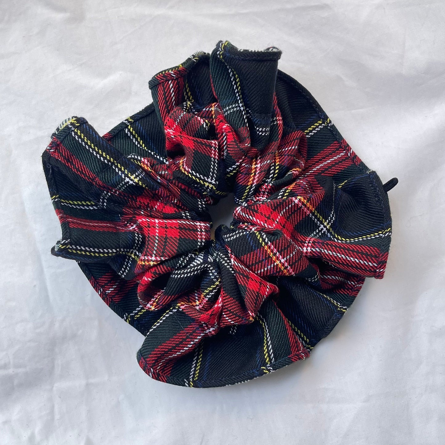 Alocasia Tartan Mix
