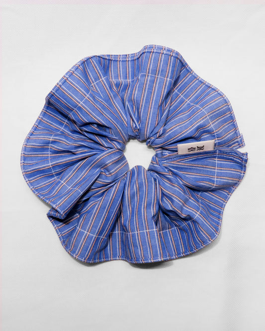 Alocasia Beatrice (Deep Blue Stripe)