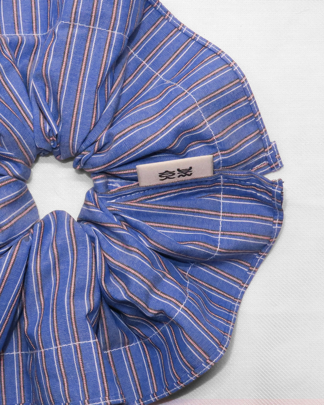 Alocasia Beatrice (Deep Blue Stripe)